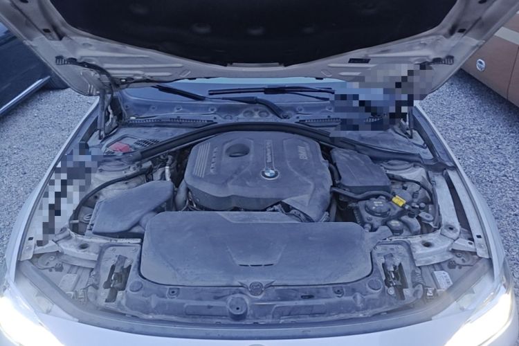 Used BMW 3 Series 2017 320Li Fashion Model Engine Bay