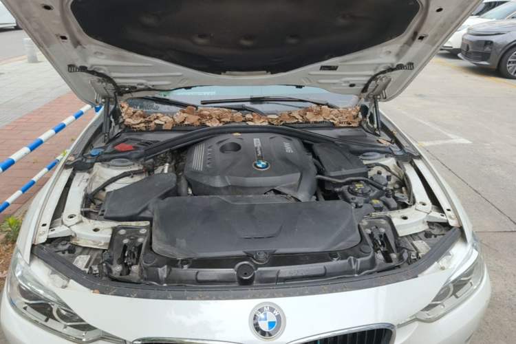 Used BMW 3 Series 2017 320Li Fashion Model Engine Bay