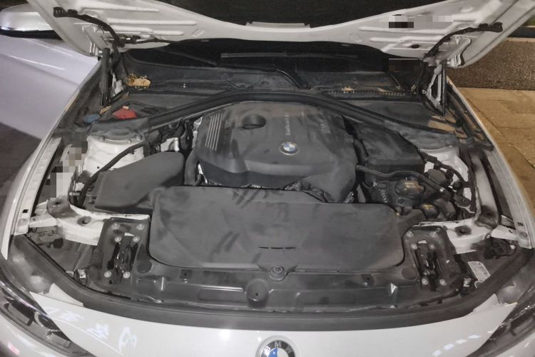 Used BMW 3 Series 2017 320Li Luxury Design Package Engine Bay