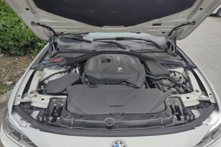 Used BMW 3 Series 2017 320Li M Sport Edition Engine Bay