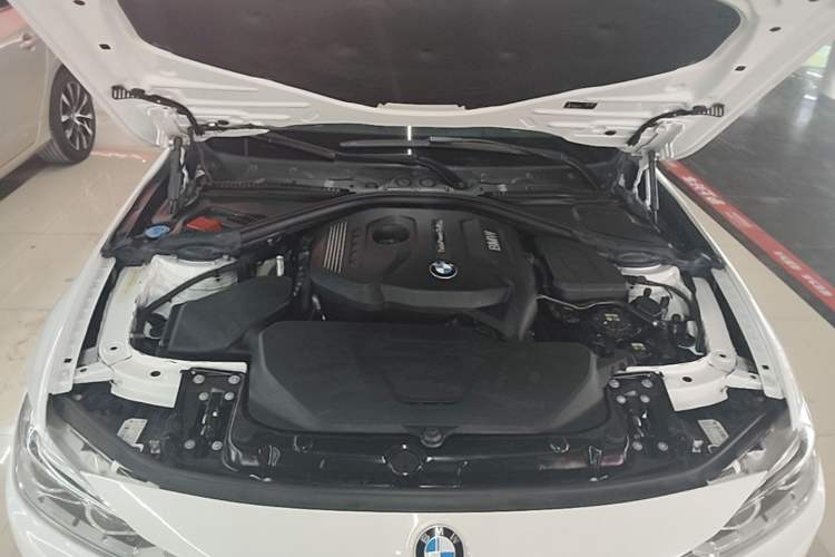 Used BMW 3 Series 2017 320Li M Sport Edition Engine Bay