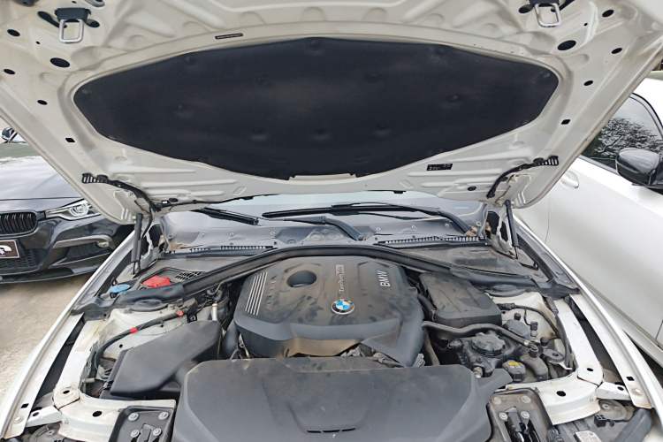 Used BMW 3 Series 2017 320Li M Sport Edition Engine Bay