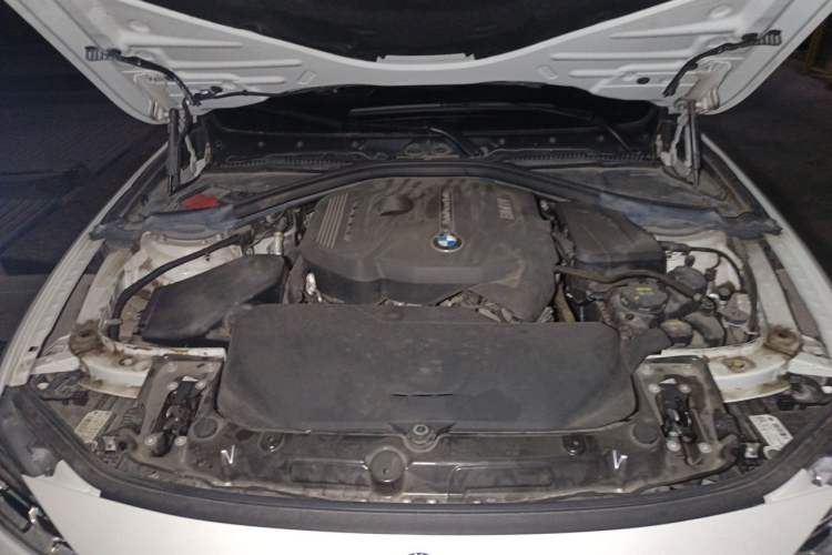 Used BMW 3 Series 2017 320Li Fashion Model Engine Bay