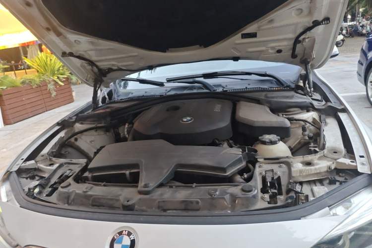 Used BMW 3 Series 2017 318Li Fashion Model Engine Bay