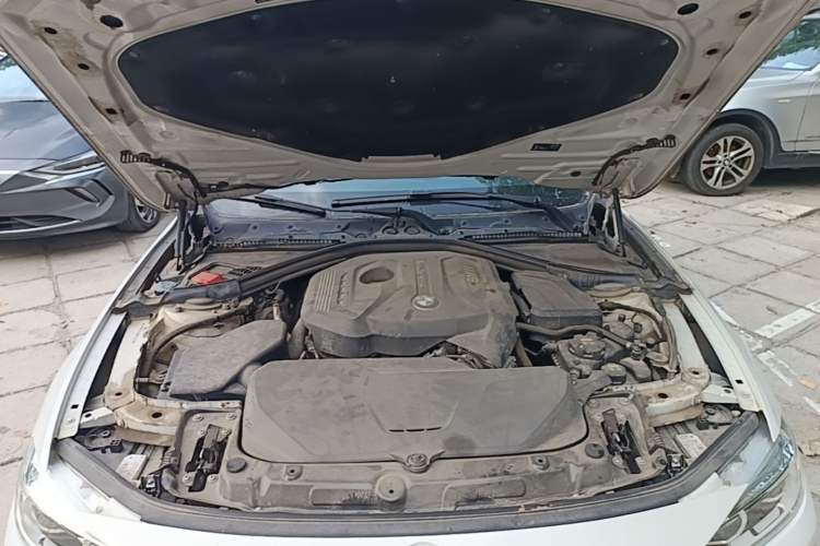 Used BMW 3 Series 2017 320Li Fashion Model Engine Bay