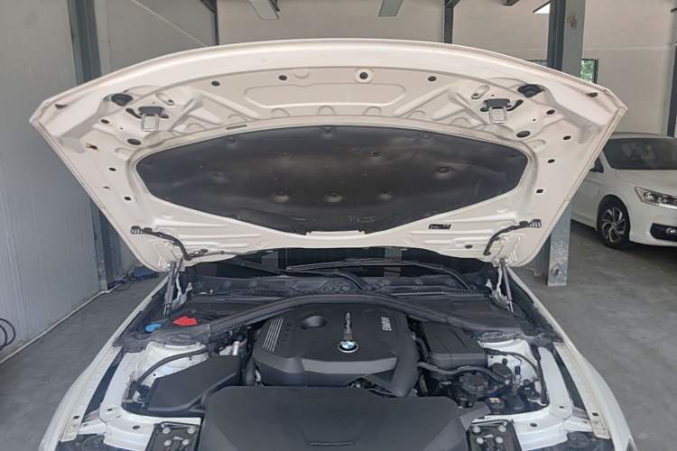 Used BMW 3 Series 2017 320Li Fashion Model Engine Bay