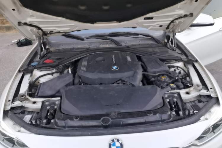 Used BMW 3 Series 2017 320Li Fashion Model Engine Bay