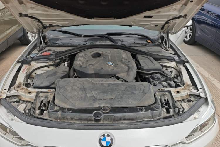 Used BMW 3 Series 2017 320Li Fashion Model Engine Bay