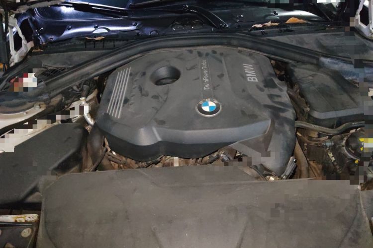 Used BMW 3 Series 2017 320Li Fashion Model Engine Bay