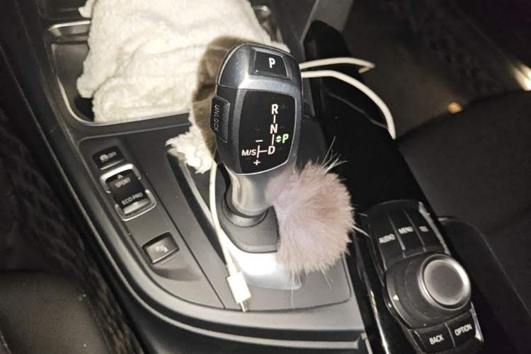 Used BMW 3 Series 2017 320Li Fashion Model Gear Lever