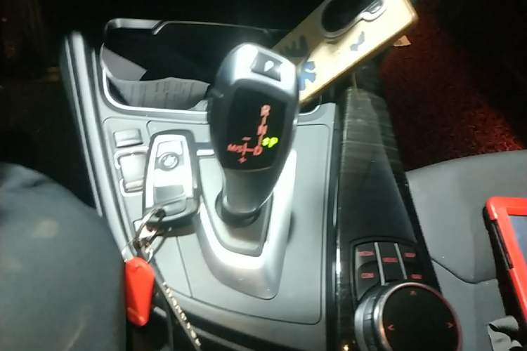 Used BMW 3 Series 2017 320Li Luxury Design Package Gear Lever