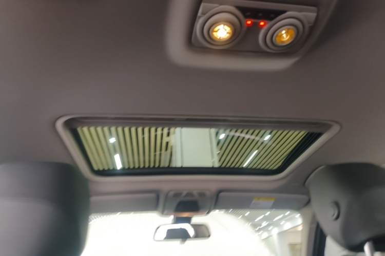 Used BMW 3 Series 2017 320Li Fashion Model Headliner