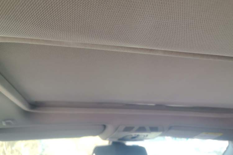 Used BMW 3 Series 2017 320Li Fashion Model Headliner