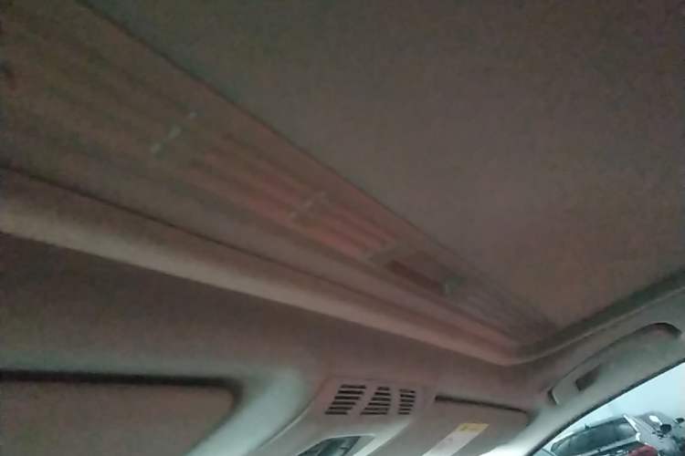 Used BMW 3 Series 2017 320Li Fashion Model Headliner