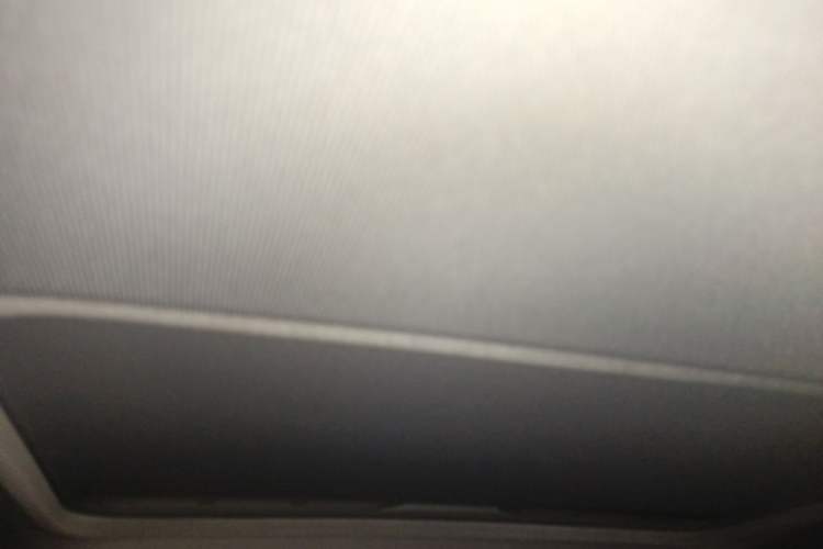 Used BMW 3 Series 2017 320Li Fashion Model Headliner