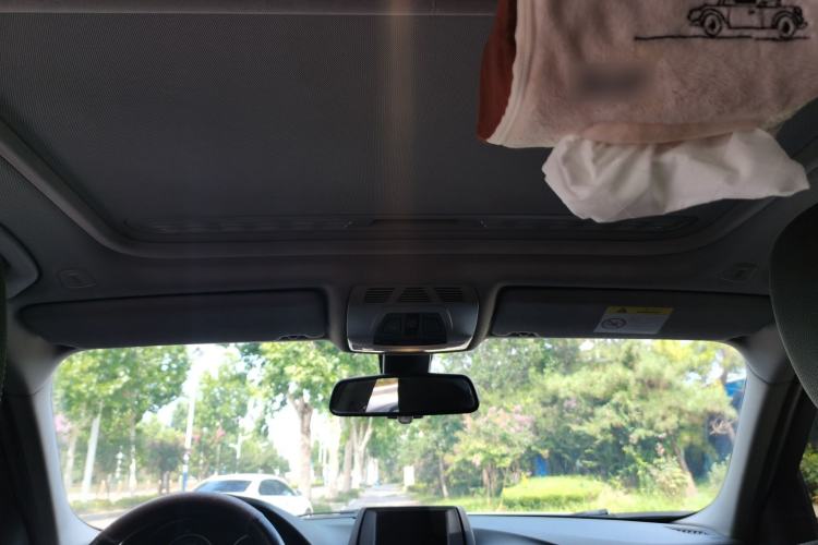 Used BMW 3 Series 2017 318Li Fashion Model Headliner