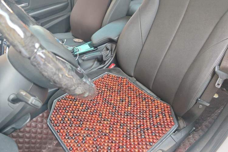Used BMW 3 Series 2017 320Li Fashion Model Left Front Seat