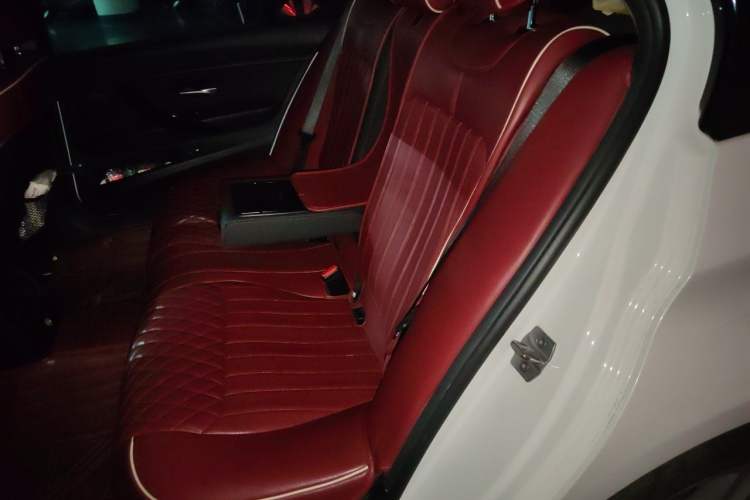 Used BMW 3 Series 2017 320Li M Sport Edition Left Rear Seat