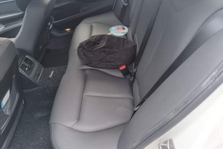 Used BMW 3 Series 2017 320Li Fashion Model Left Rear Seat