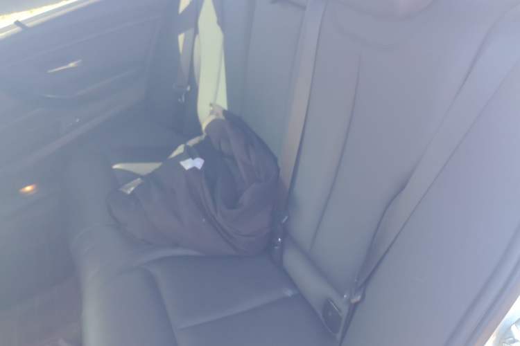 Used BMW 3 Series 2017 320Li Fashion Model Left Rear Seat