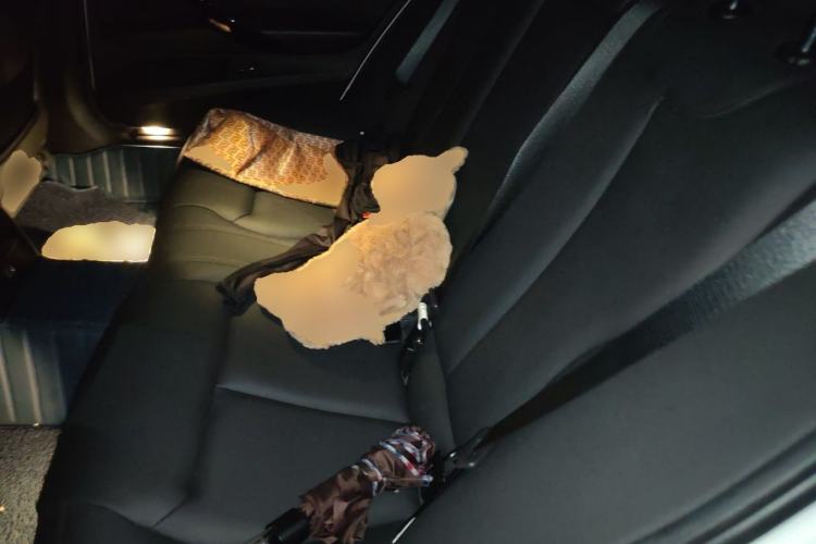 Used BMW 3 Series 2017 320Li Fashion Model Left Rear Seat