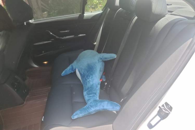 Used BMW 3 Series 2017 320Li Fashion Model Left Rear Seat