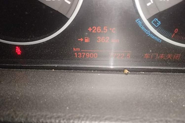 Used BMW 3 Series 2017 318i Fashion Model Odometer Close Up