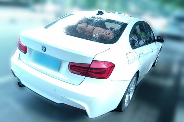 Used BMW 3 Series 2017 320i M Sport Rear Right 45 Deg