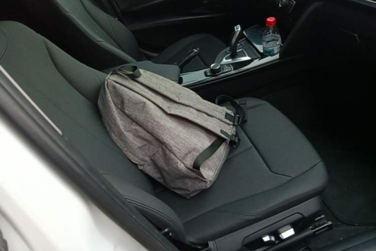Used BMW 3 Series 2017 320Li Fashion Model Right Front Seat