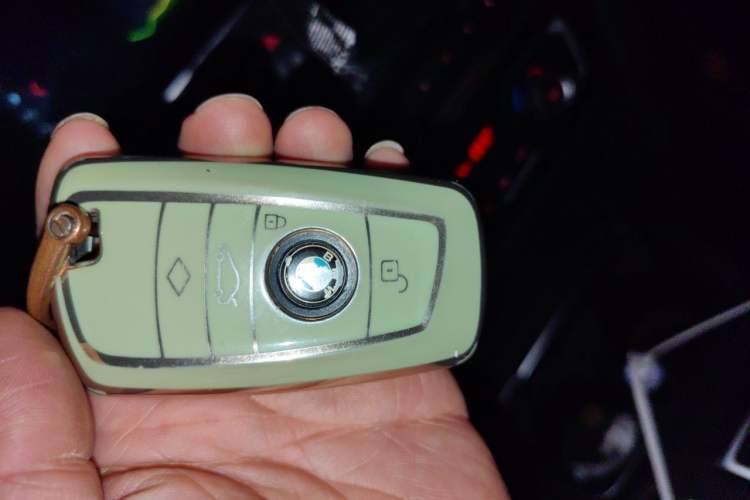 Used BMW 3 Series 2017 320Li M Sport Edition Vehicle Key