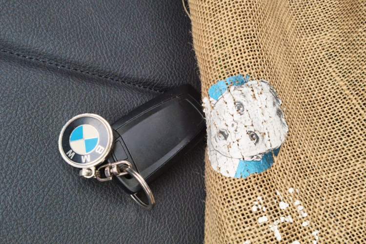 Used BMW 3 Series 2017 320Li Fashion Model Vehicle Key