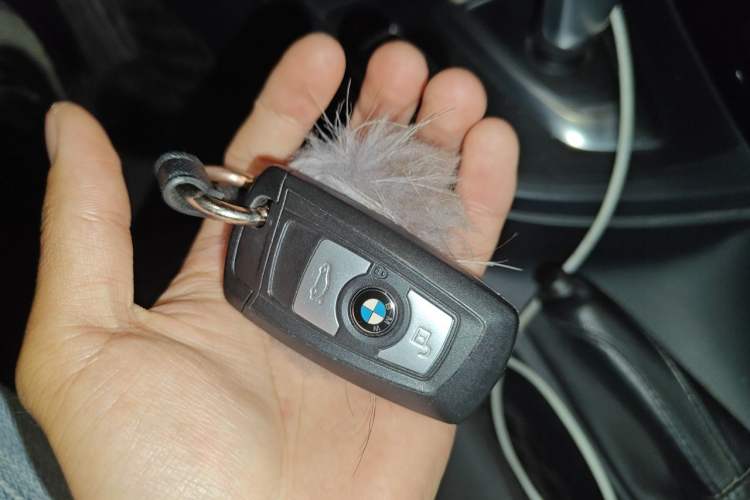 Used BMW 3 Series 2017 320Li Fashion Model Vehicle Key
