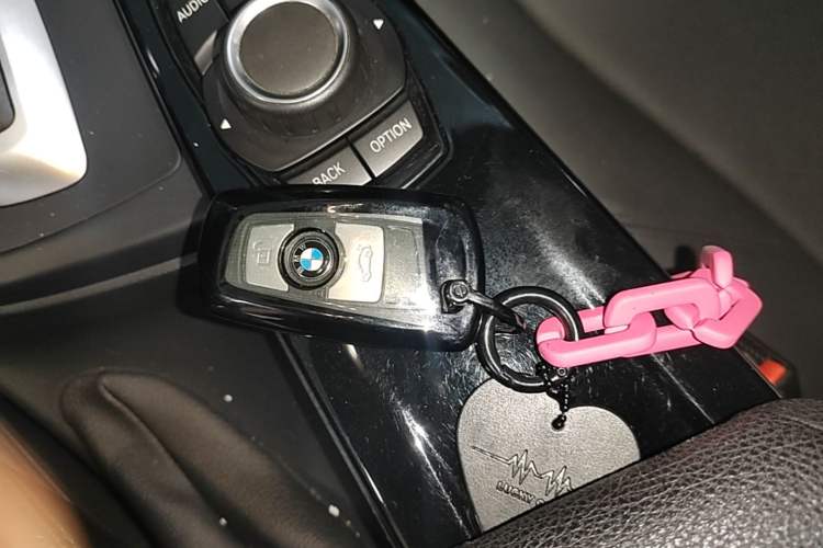 Used BMW 3 Series 2017 318Li Fashion Model Vehicle Key