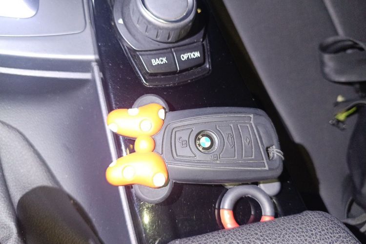 Used BMW 3 Series 2017 318Li Fashion Model Vehicle Key