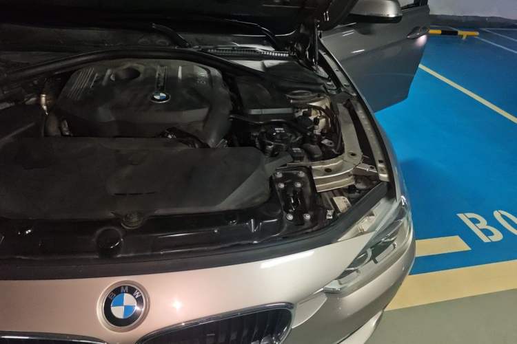 Used BMW 3 Series 2017 320Li Fashion Model Engine Bay Left
