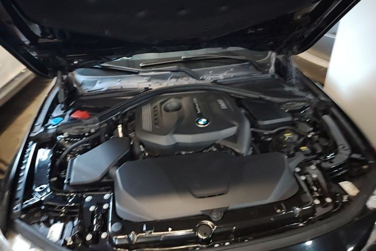 Used BMW 3 Series 2018 320Li Fashion Model Engine Bay
