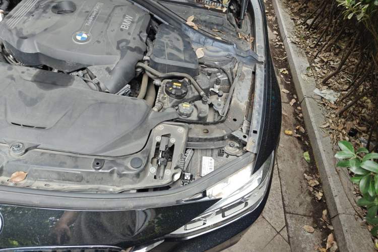 Used BMW 3 Series 2018 320Li Leading Model M Sport Package Engine Bay Left