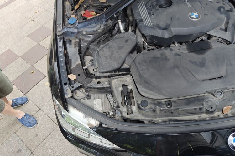 Used BMW 3 Series 2018 320Li Leading Model M Sport Package Engine Bay Right