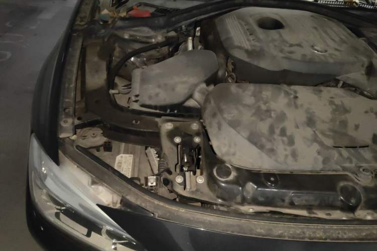Used BMW 3 Series 2018 320Li Fashion Model Engine Bay Right