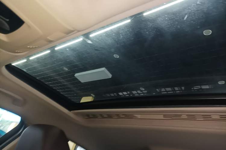Used BMW 3 Series 2018 320Li Leading Model M Sport Package Headliner