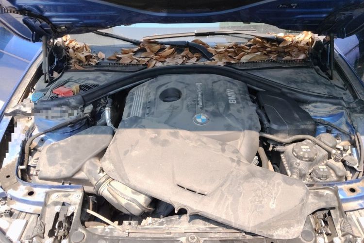Used BMW 3 Series 2018 320Li Leading Model M Sport Package Engine Bay