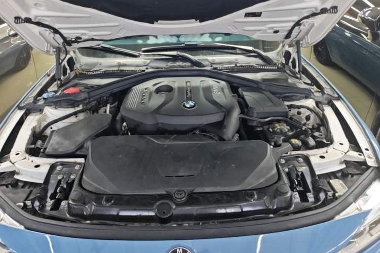 Used BMW 3 Series 2018 320Li Fashion Model Engine Bay