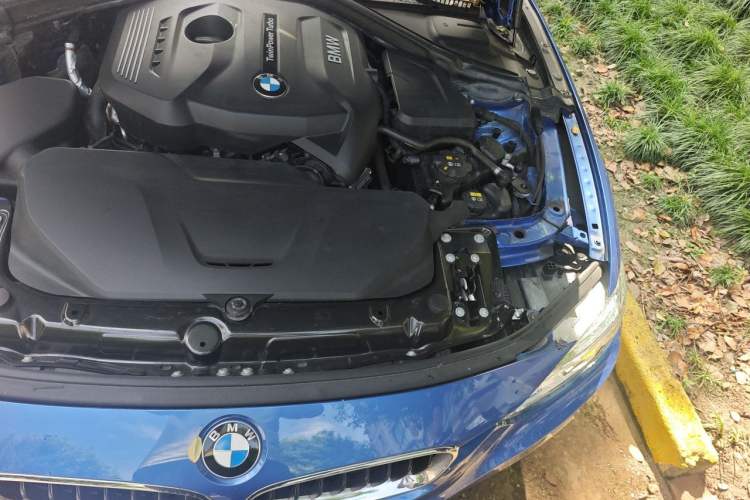 Used BMW 3 Series 2018 320i M Sport Package Engine Bay Left