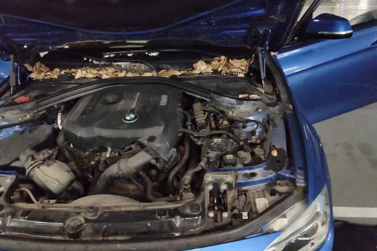 Used BMW 3 Series 2018 320i M Sport Package Engine Bay Left