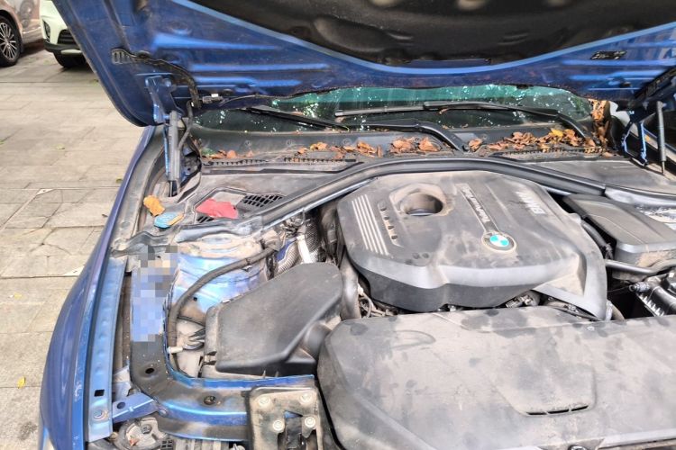 Used BMW 3 Series 2018 320i M Sport Package Engine Bay Right