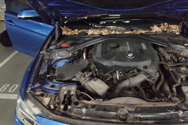 Used BMW 3 Series 2018 320i M Sport Package Engine Bay Right