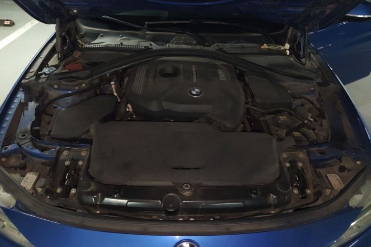 Used BMW 3 Series 2018 320Li Leading Model M Sport Package Engine Bay