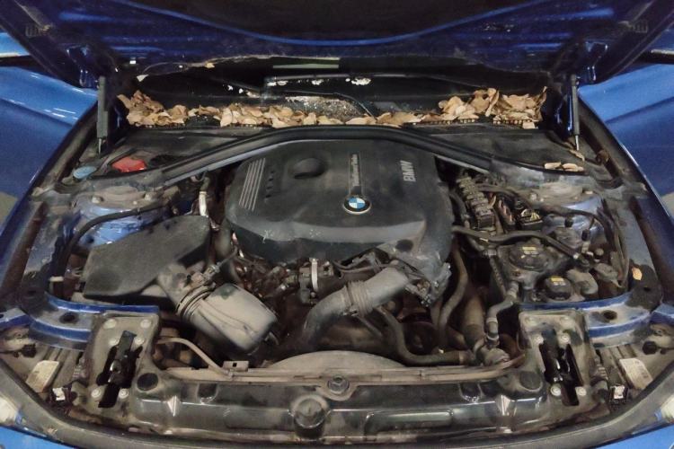 Used BMW 3 Series 2018 320i M Sport Package Engine Bay
