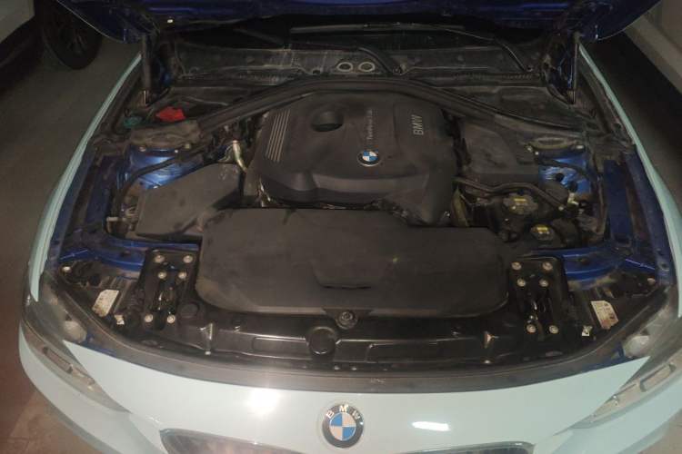 Used BMW 3 Series 2018 320Li Leading Model M Sport Package Engine Bay