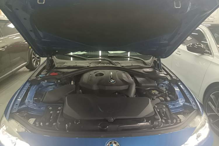 Used BMW 3 Series 2018 320Li Leading Model M Sport Package Engine Bay